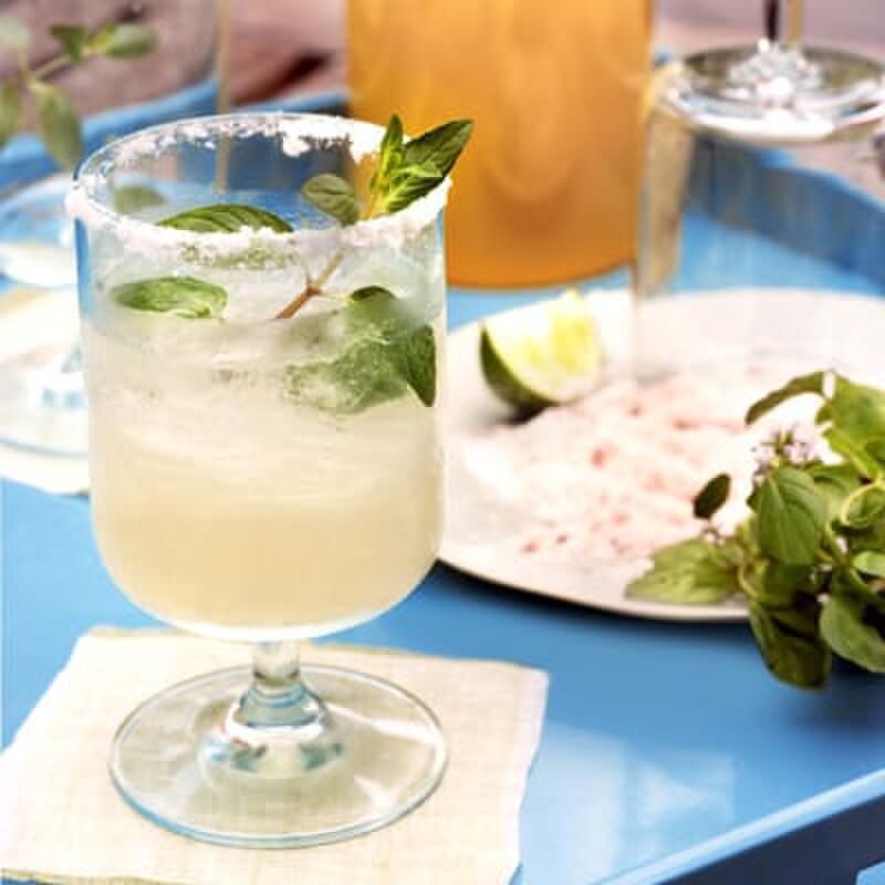 54f9264446e65_-_fresh-mint-margaritas-xl