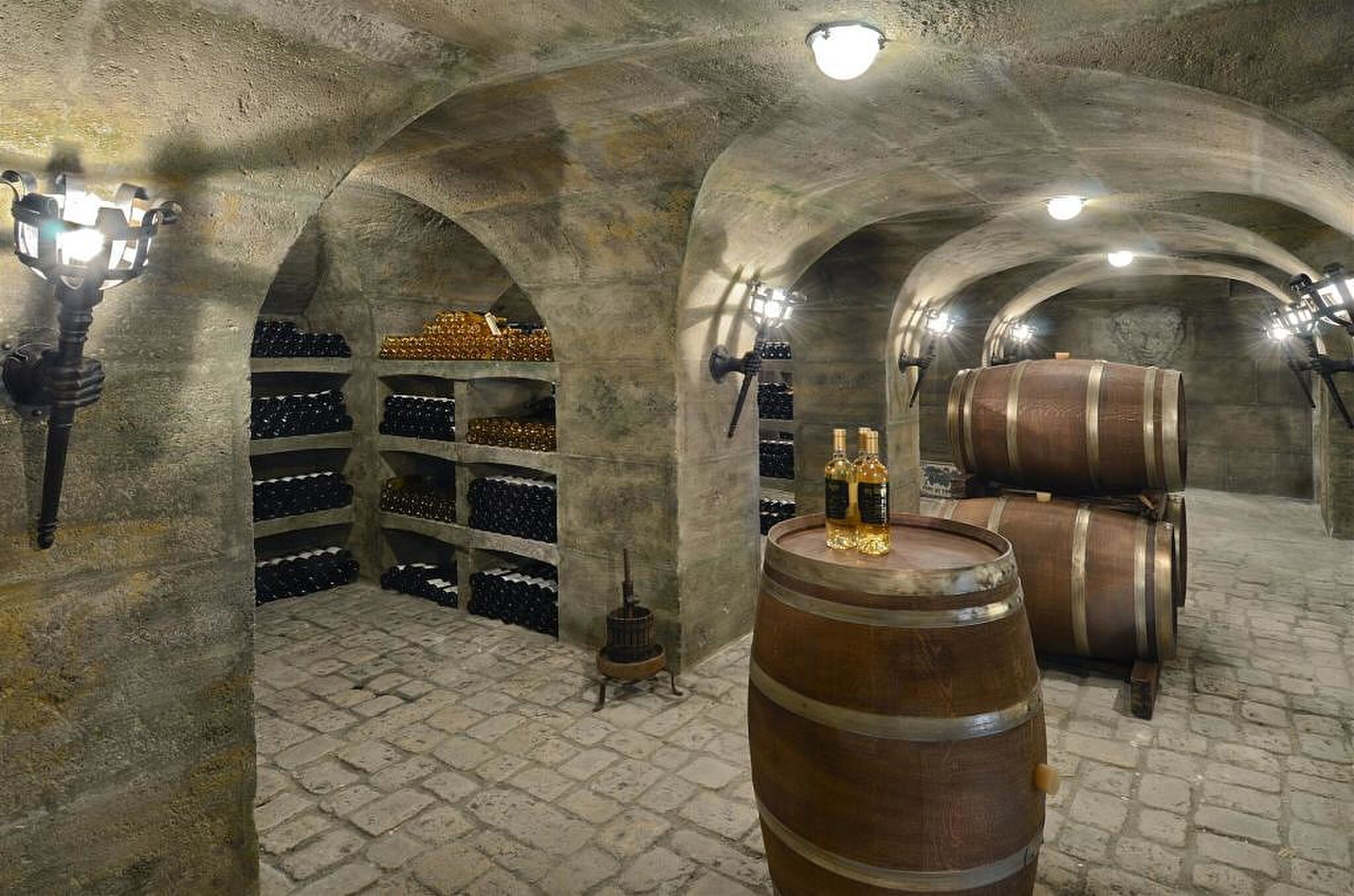 pureluxe-villa-duurste-01