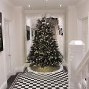 harrington's christmas decoration Tom Harrington Pure Luxe