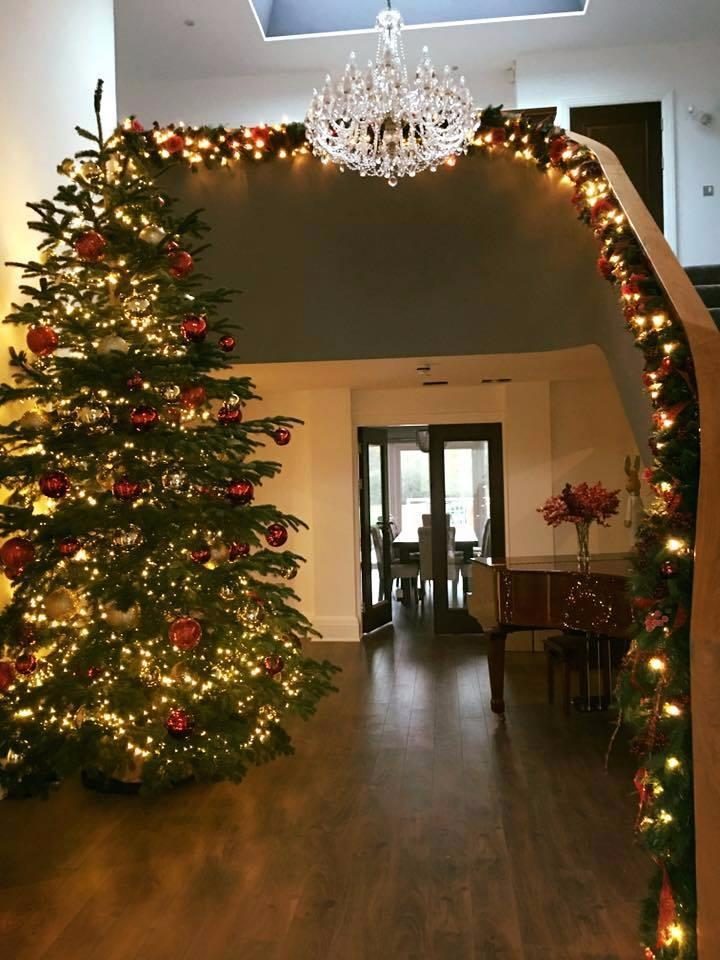 harrington's christmas decoration Tom Harrington Pure Luxe