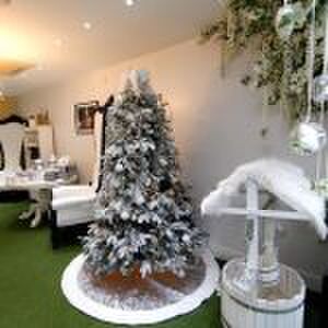 harrington's christmas decoration Tom Harrington Pure Luxe