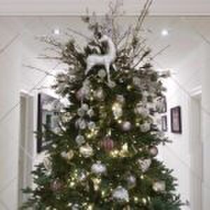 harrington's christmas decoration Tom Harrington Pure Luxe