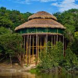 de juma Amazon lodge is de perfecte plek in Zuid-Amerika Pure Luxe