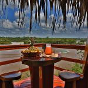 de juma Amazon lodge is de perfecte plek in Zuid-Amerika Pure Luxe