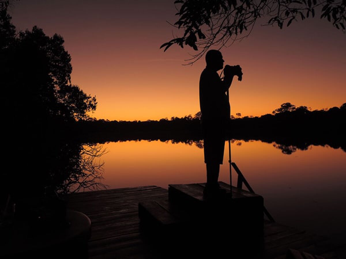 de juma Amazon lodge is de perfecte plek in Zuid-Amerika Pure Luxe