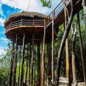 de juma Amazon lodge is de perfecte plek in Zuid-Amerika Pure Luxe