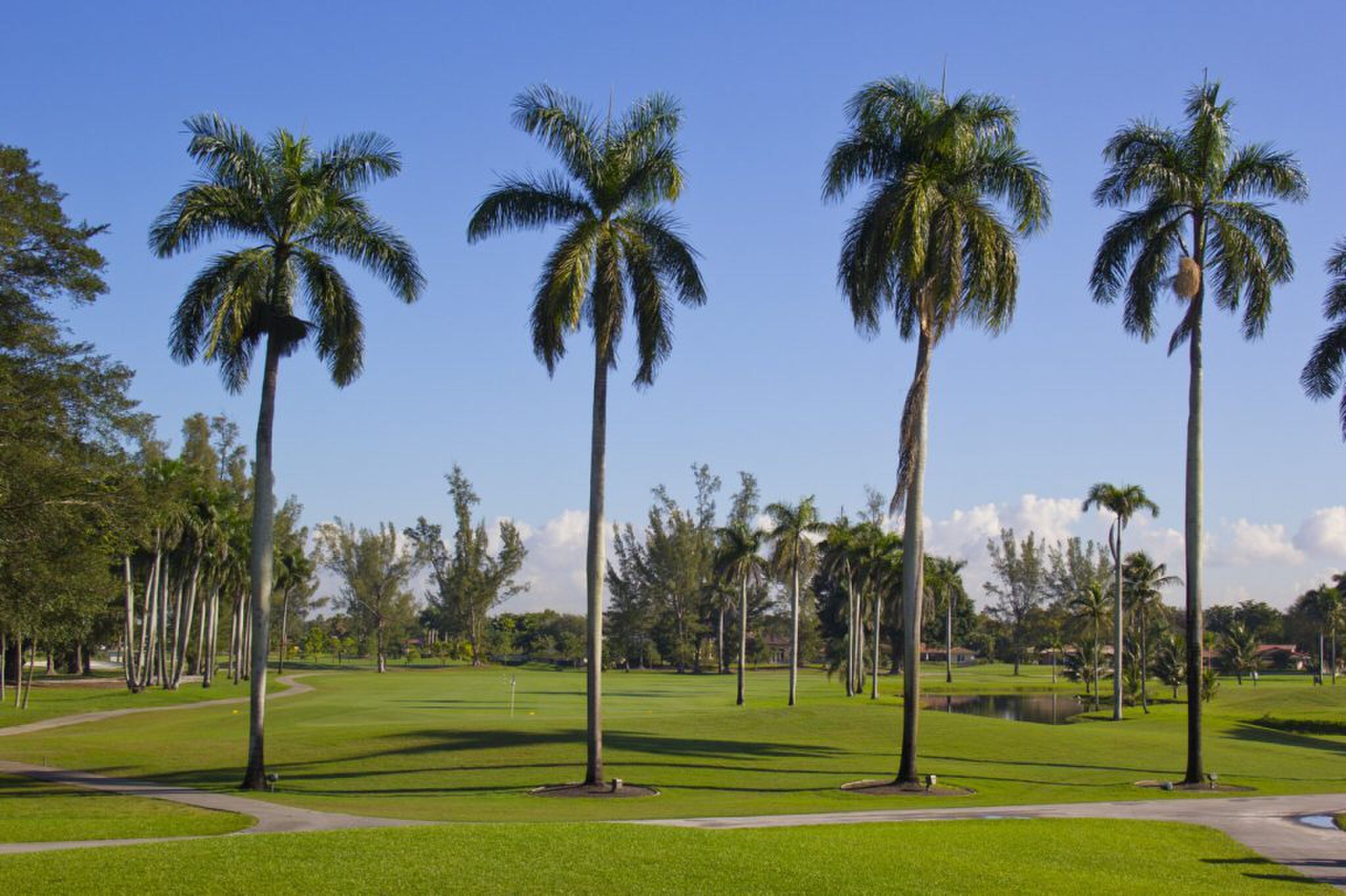 bird golf academy golfen amerika Pure Luxe