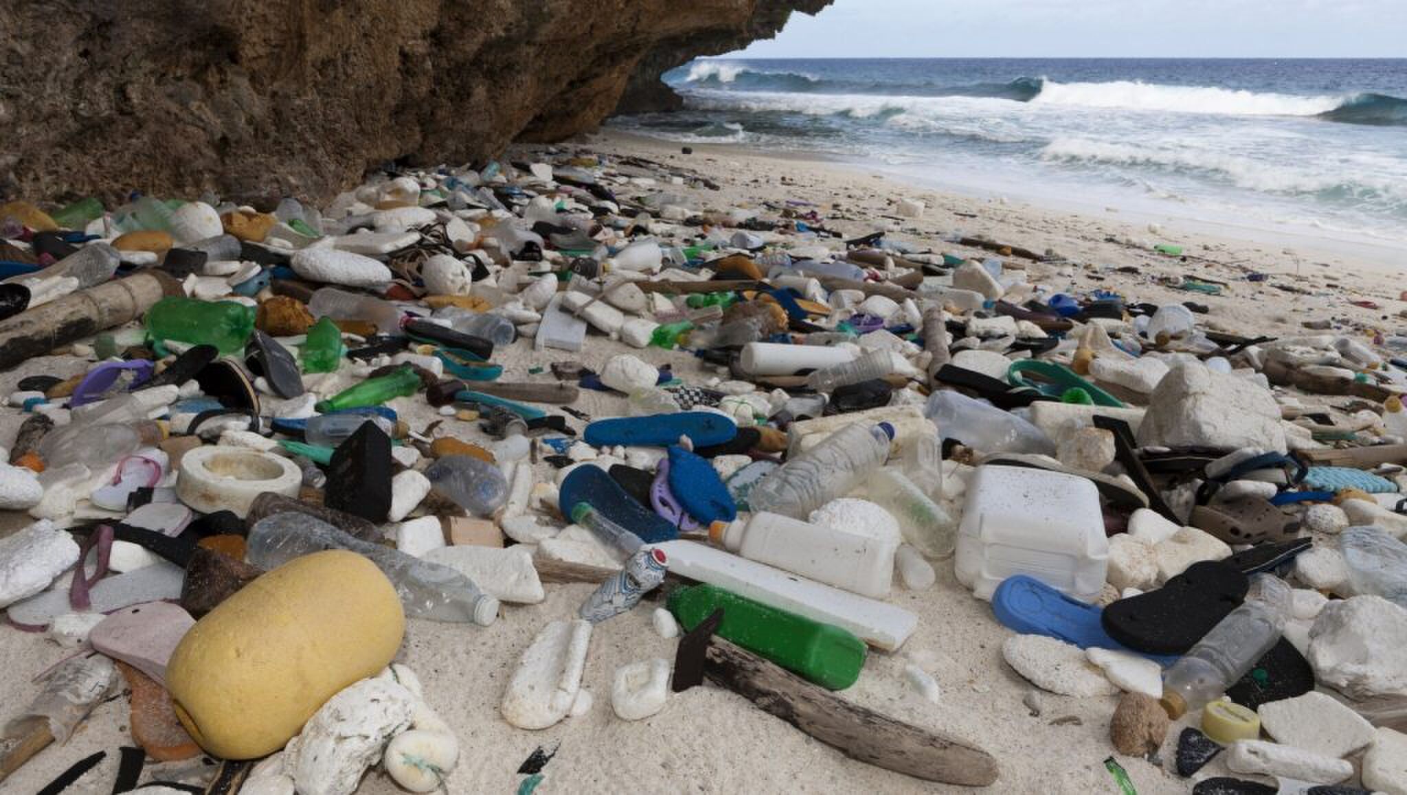 breitling ocean conservancy samenwerking partnership Pure Luxe