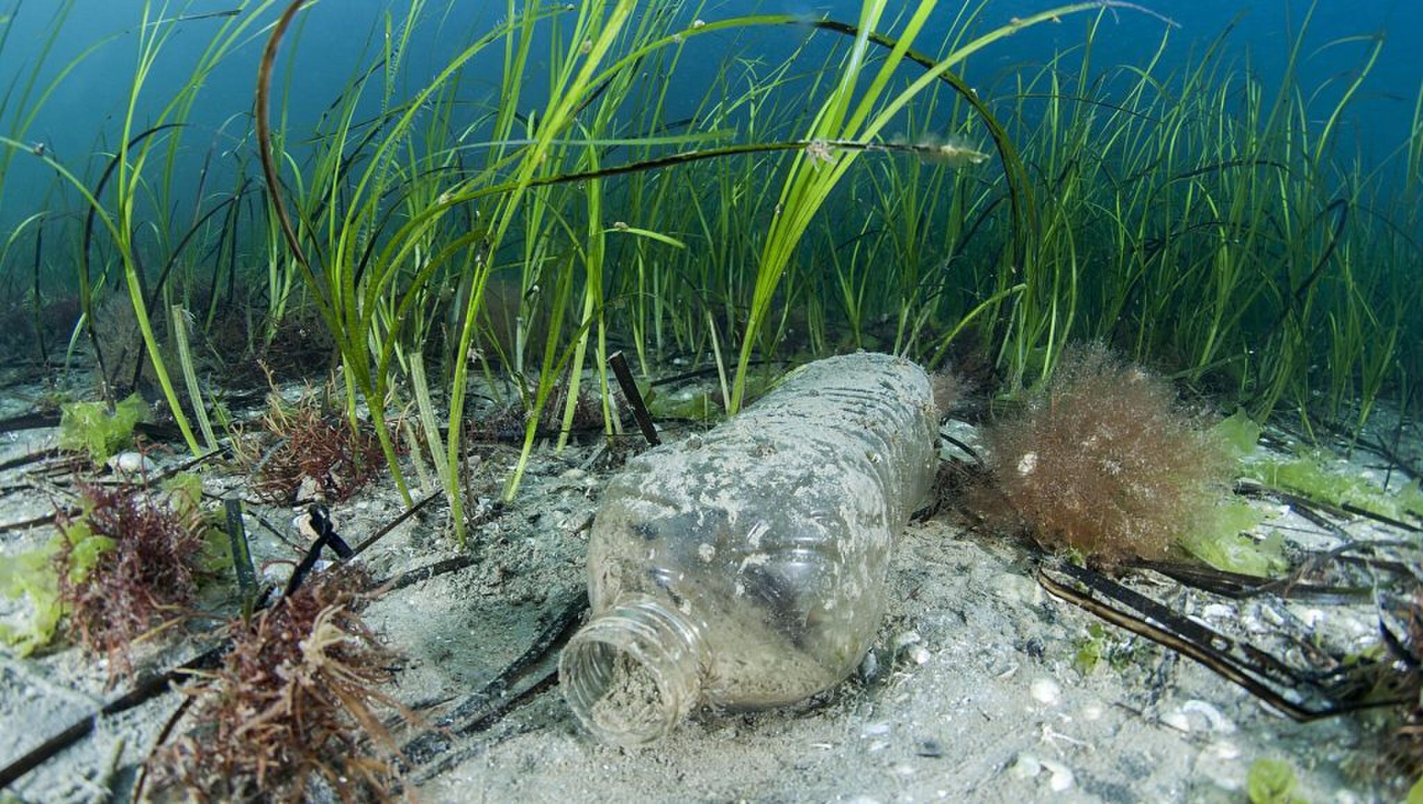 breitling ocean conservancy samenwerking partnership Pure Luxe