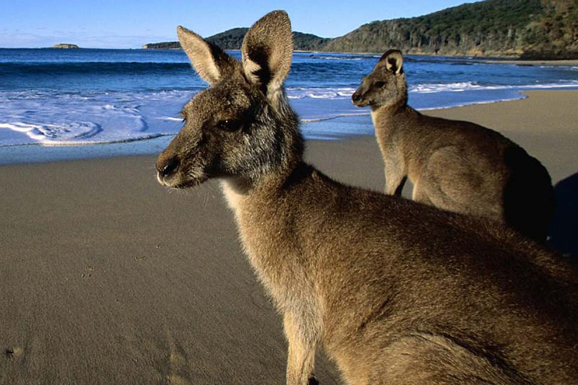 australië tour privéjet vliegtuig touring treasures Pure Luxe