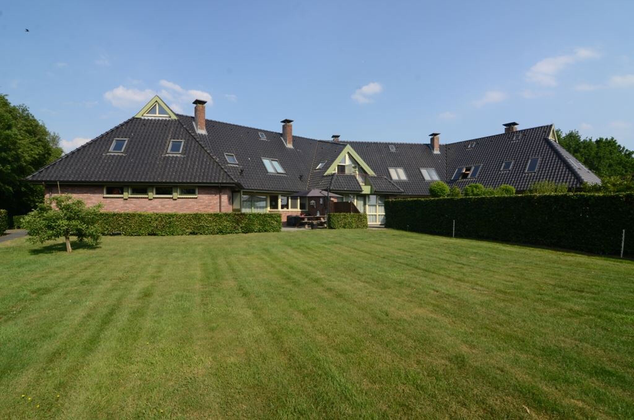 Tuin
