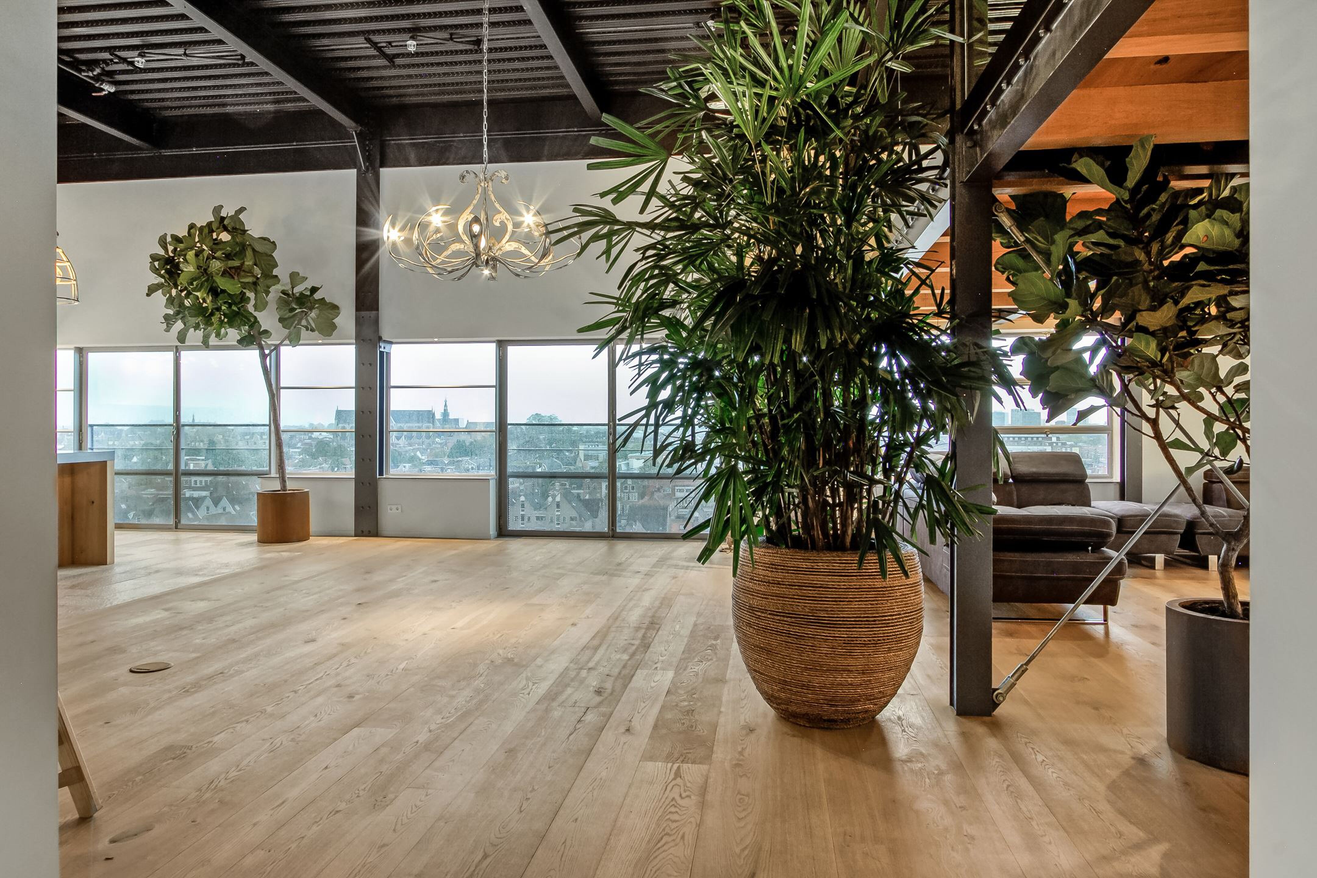Loft in Leiden