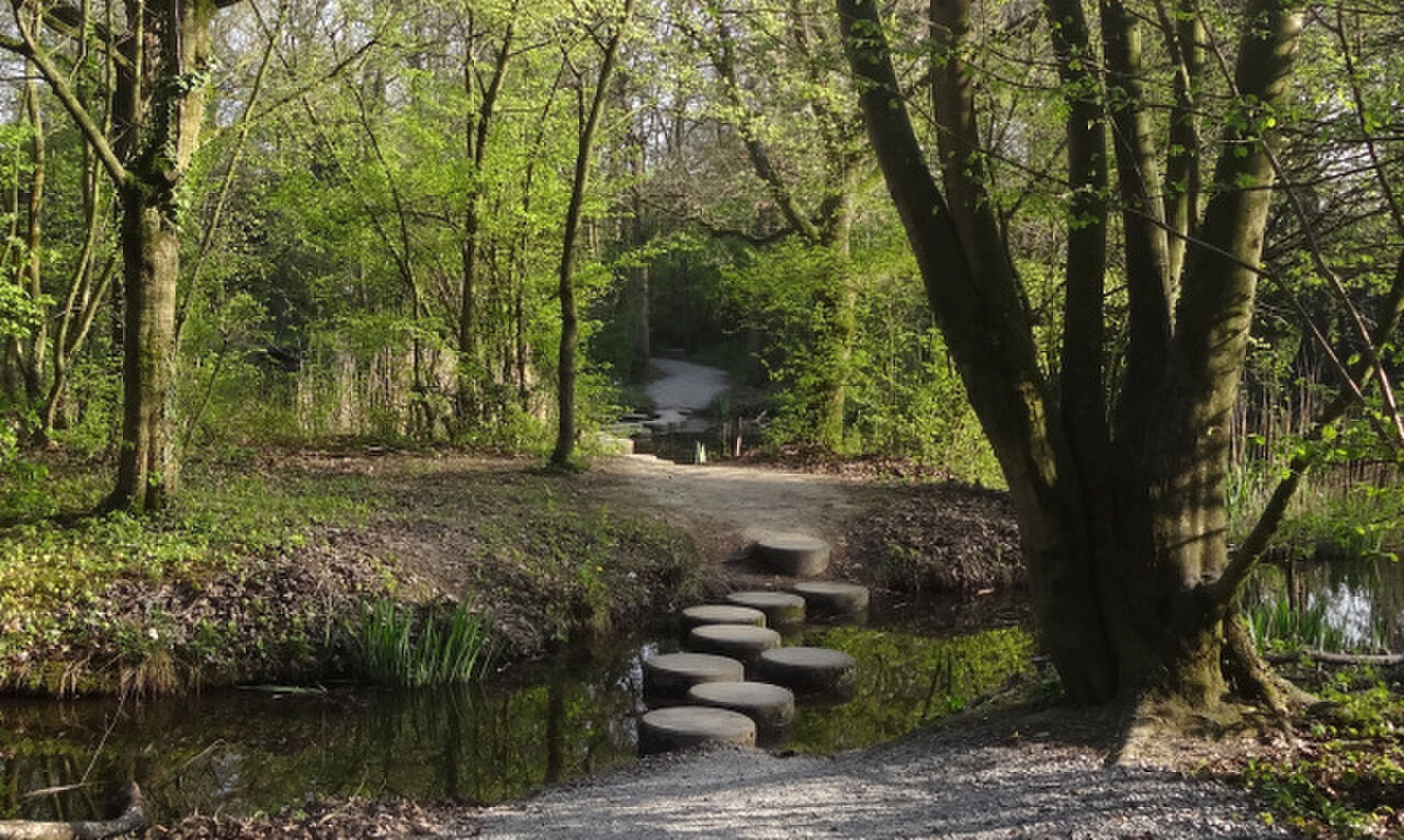 Park