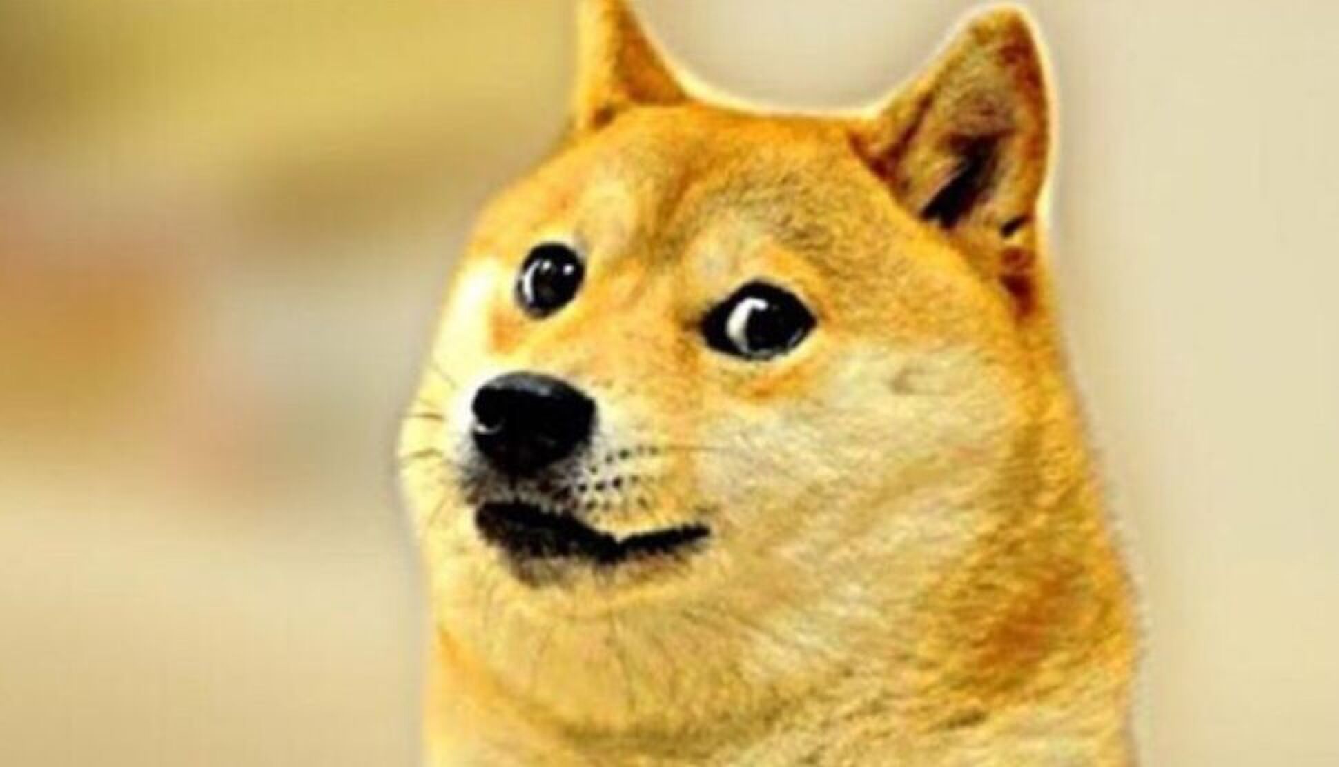 Doge