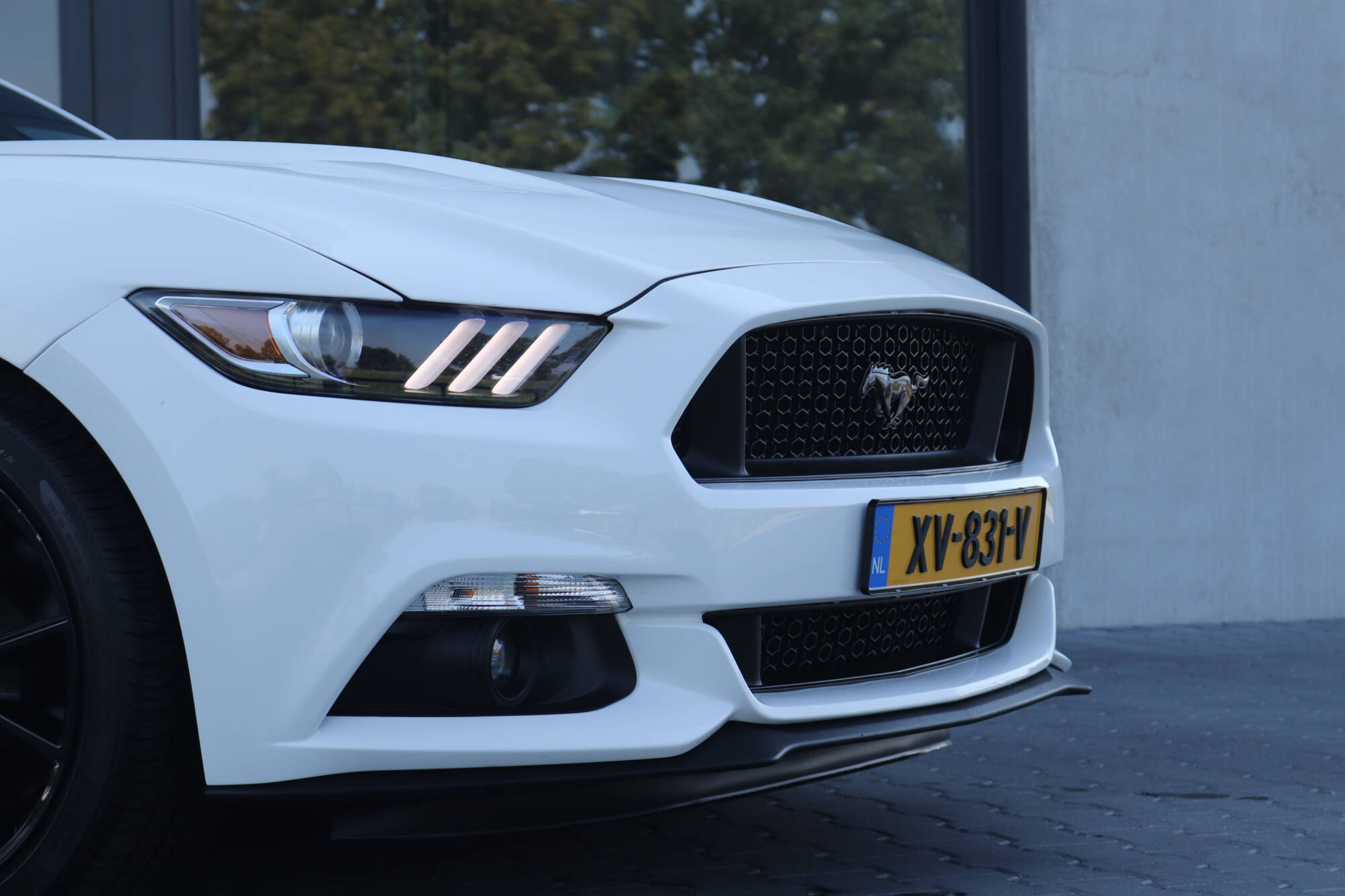 Mustang-6