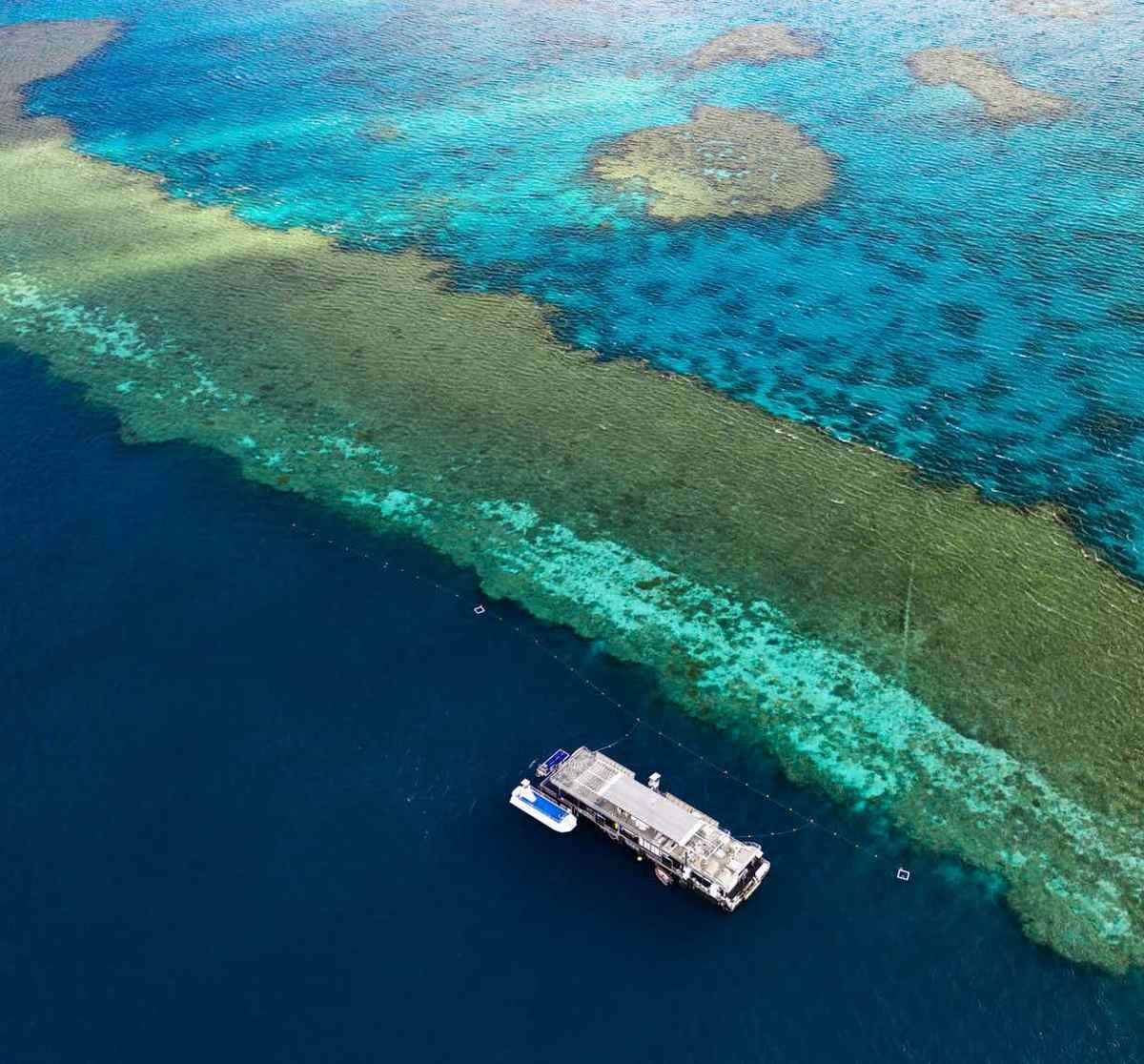 Great barrier reef