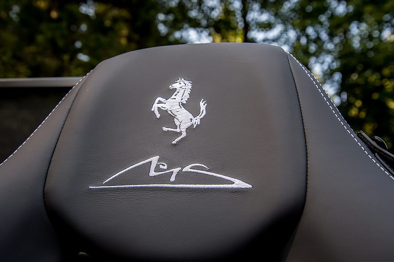 Hoofdsteun Michael Schumacher
