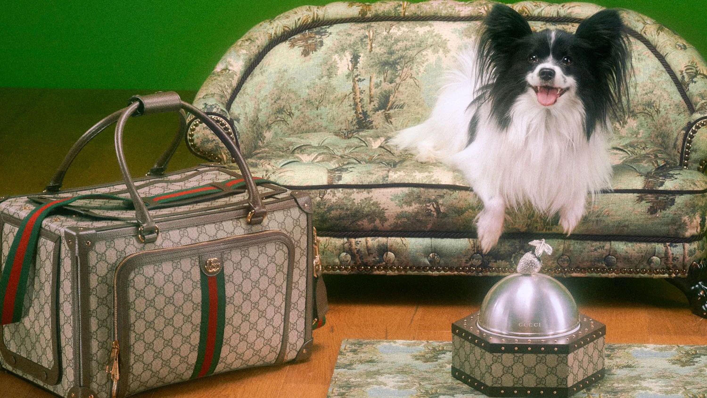 GUCCI DOG 3点セット Dankzij de 'Gucci Pet Collection' loopt u huisdier er altijd