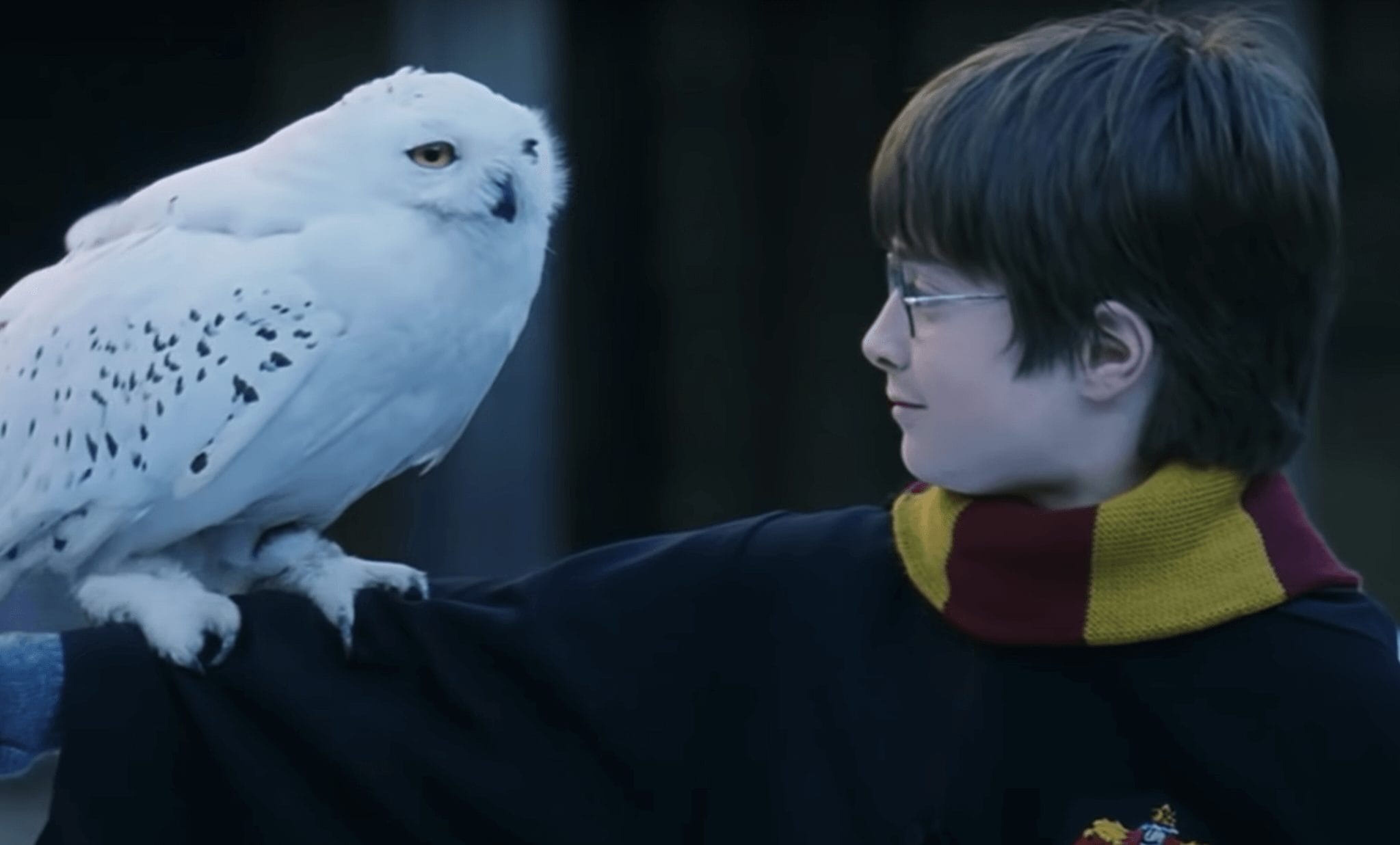 Harry Potter