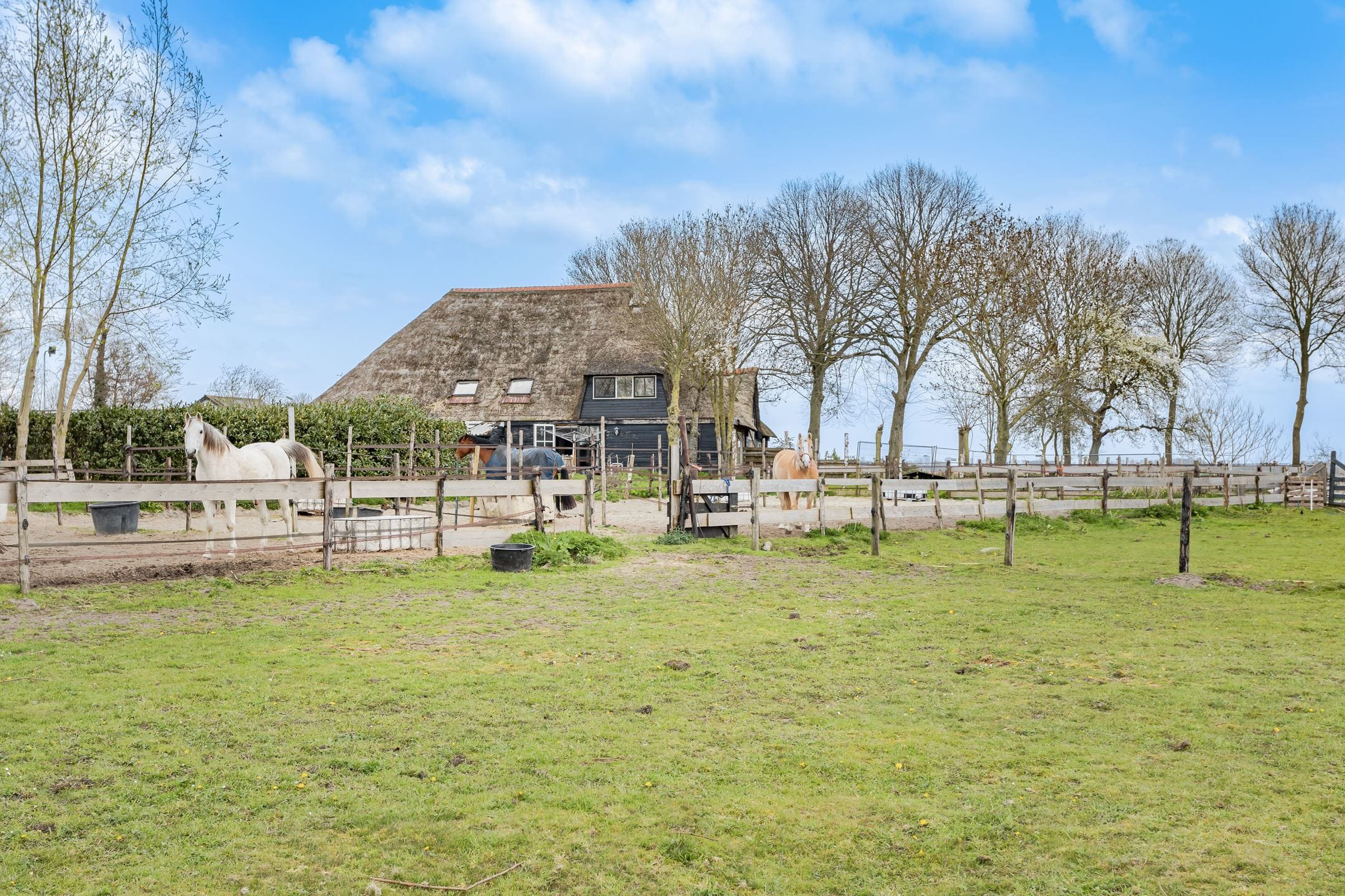 Woonboerderij Spanbroek