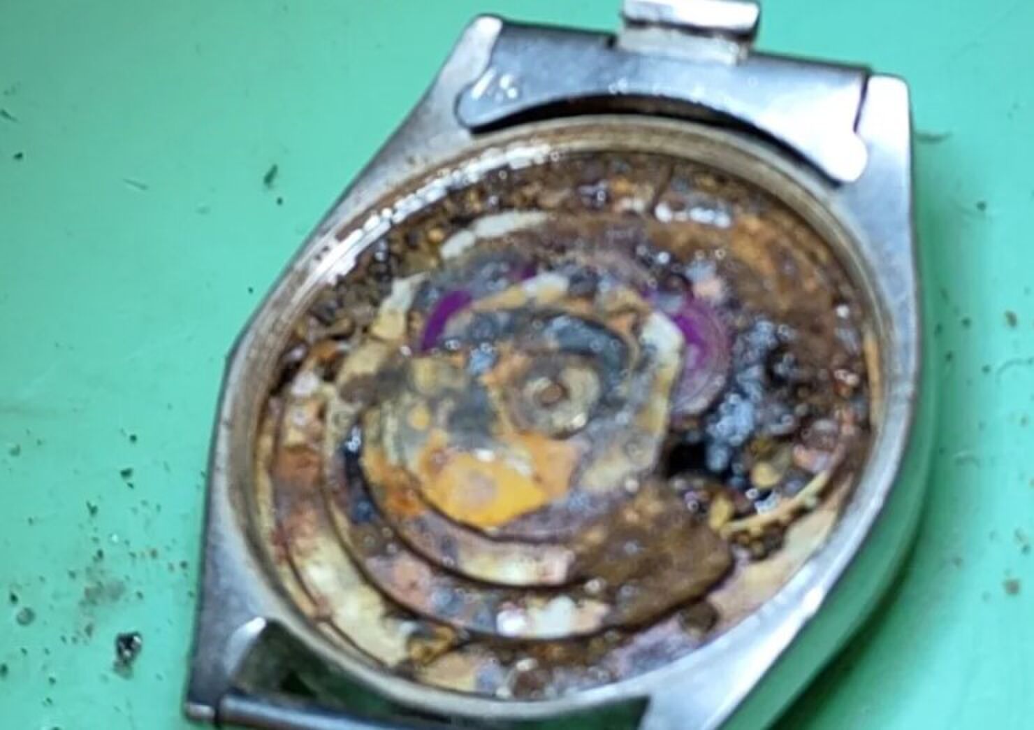 Rolex door ontlasting van een koe