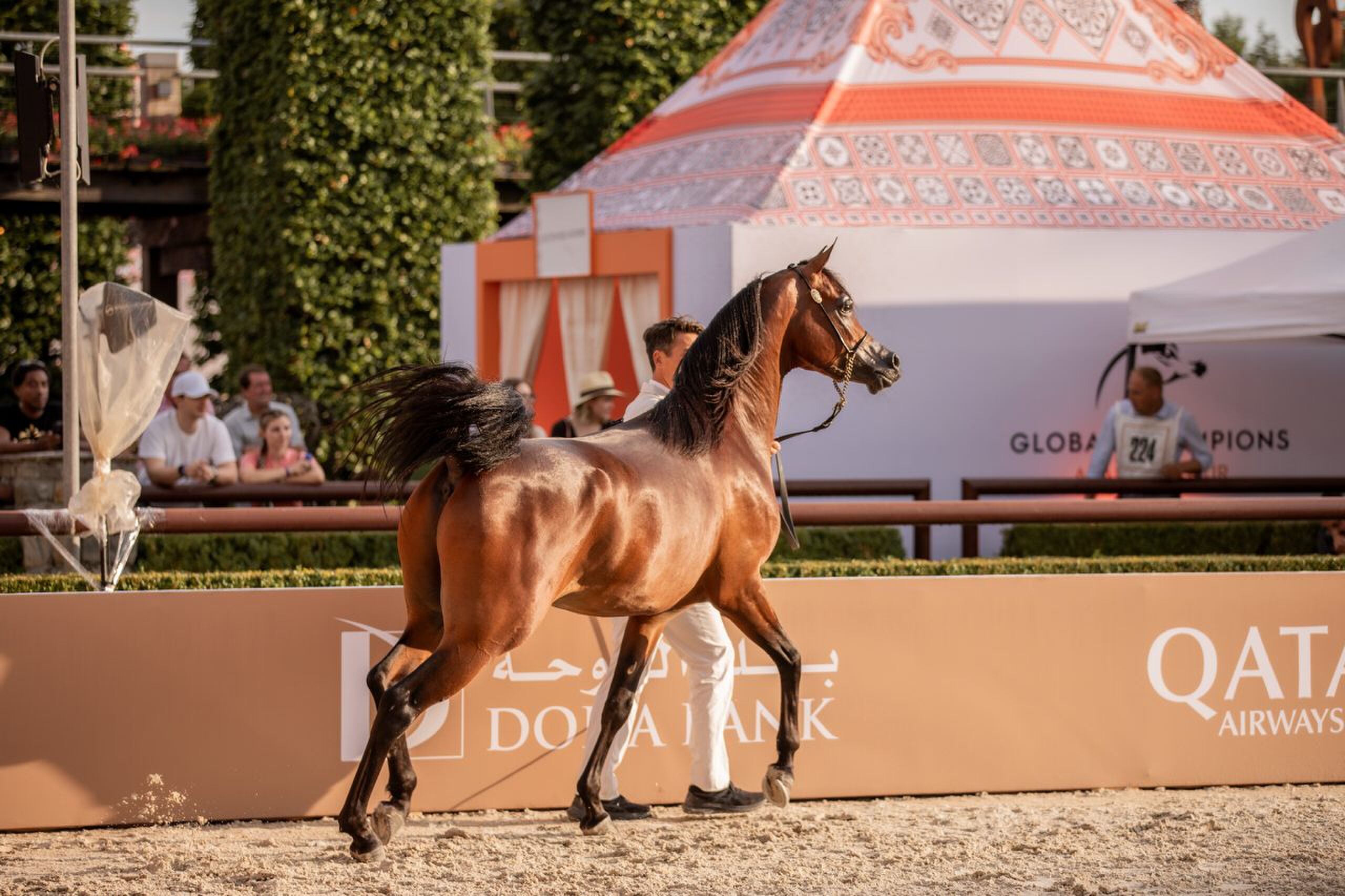 De Global Arabians Champions Tour in Valkenswaard