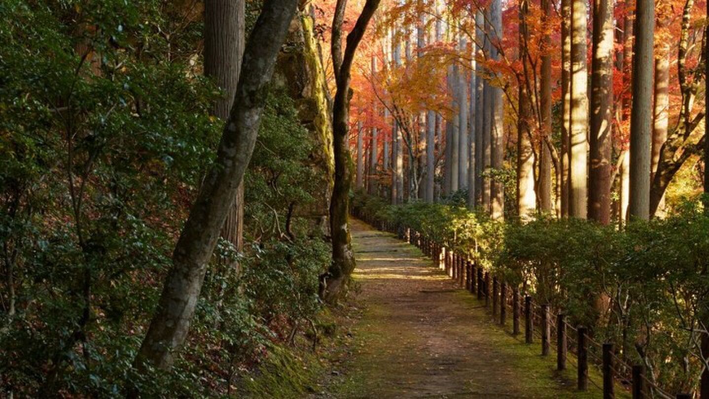 Aman Kyoto