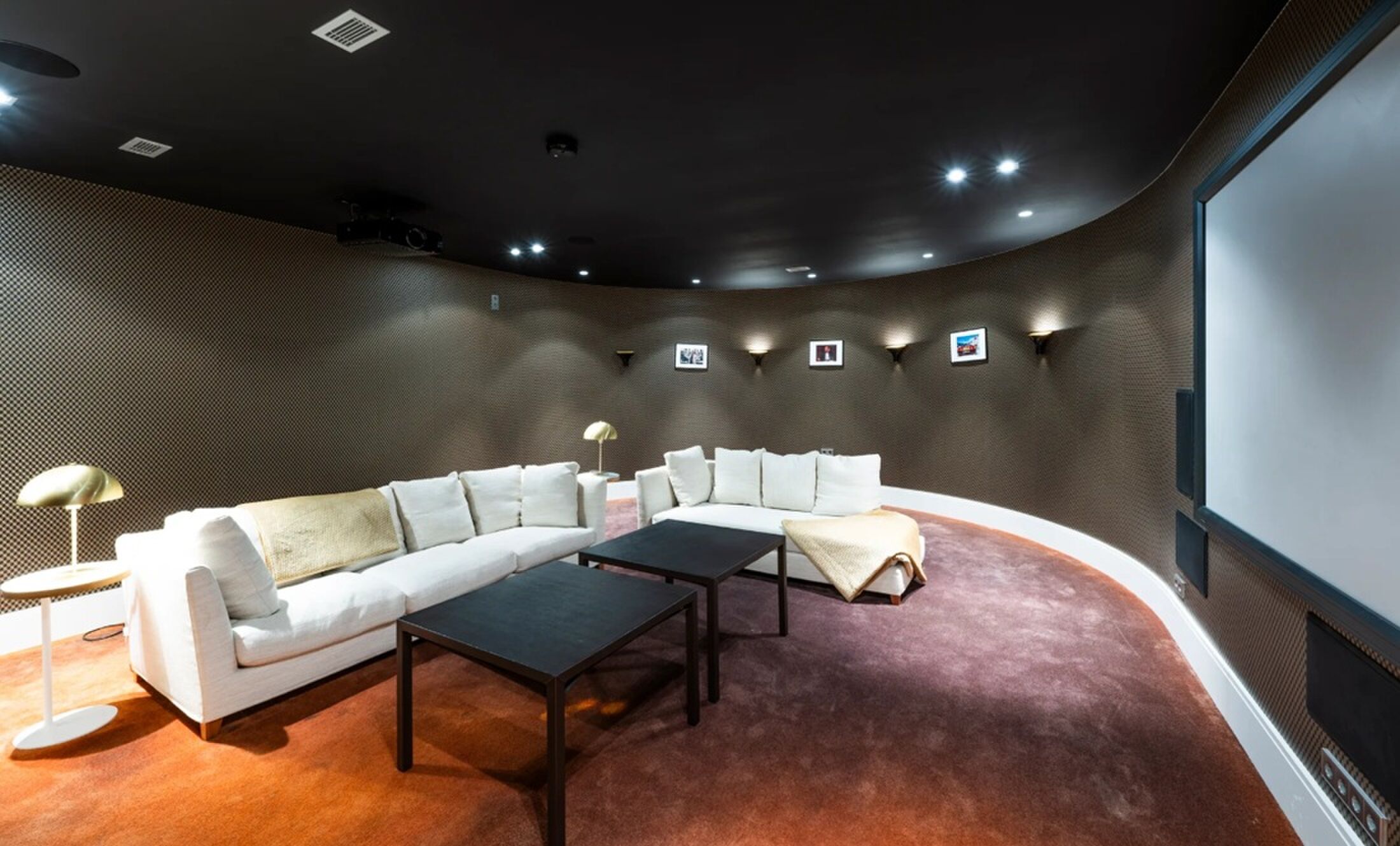 De riante thuisbioscoop