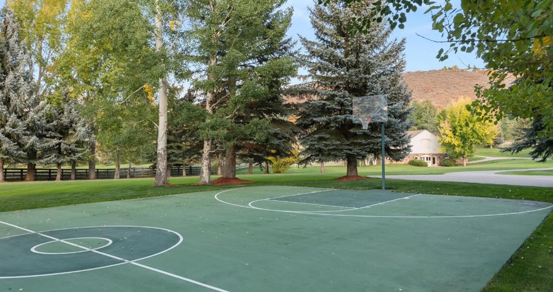 Het basketbalveld in de tuin
