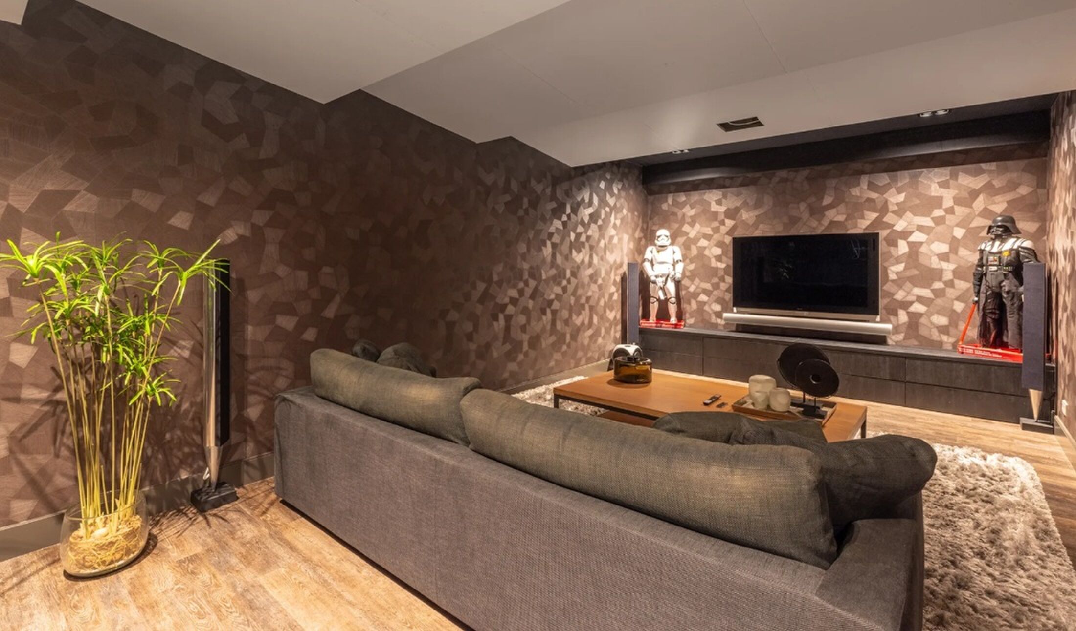 De royale thuisbioscoop