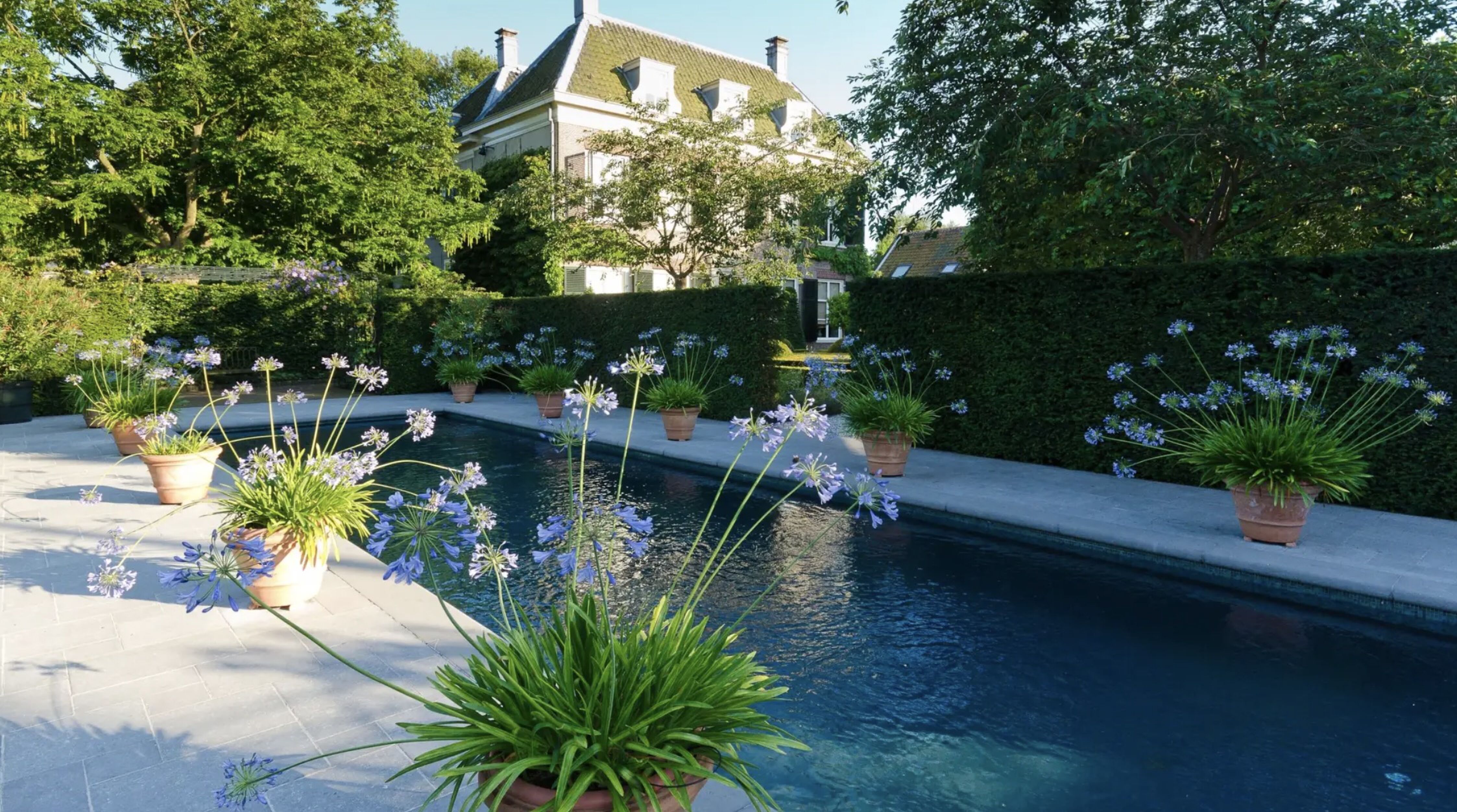 Het zwembad van het landhuis van Wiet Pot in Warmond