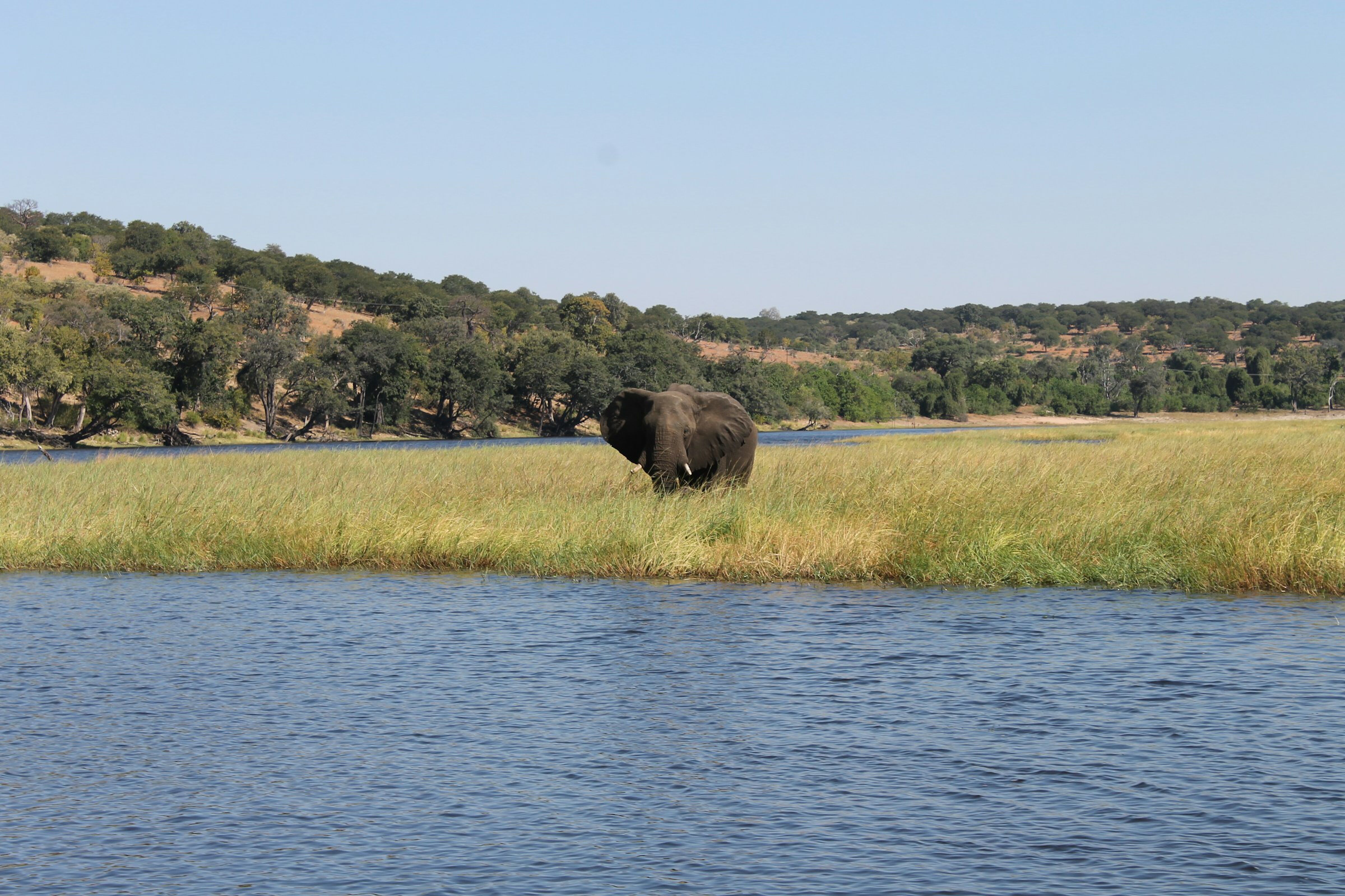 Een kajaktocht op de rivier de Zambezi