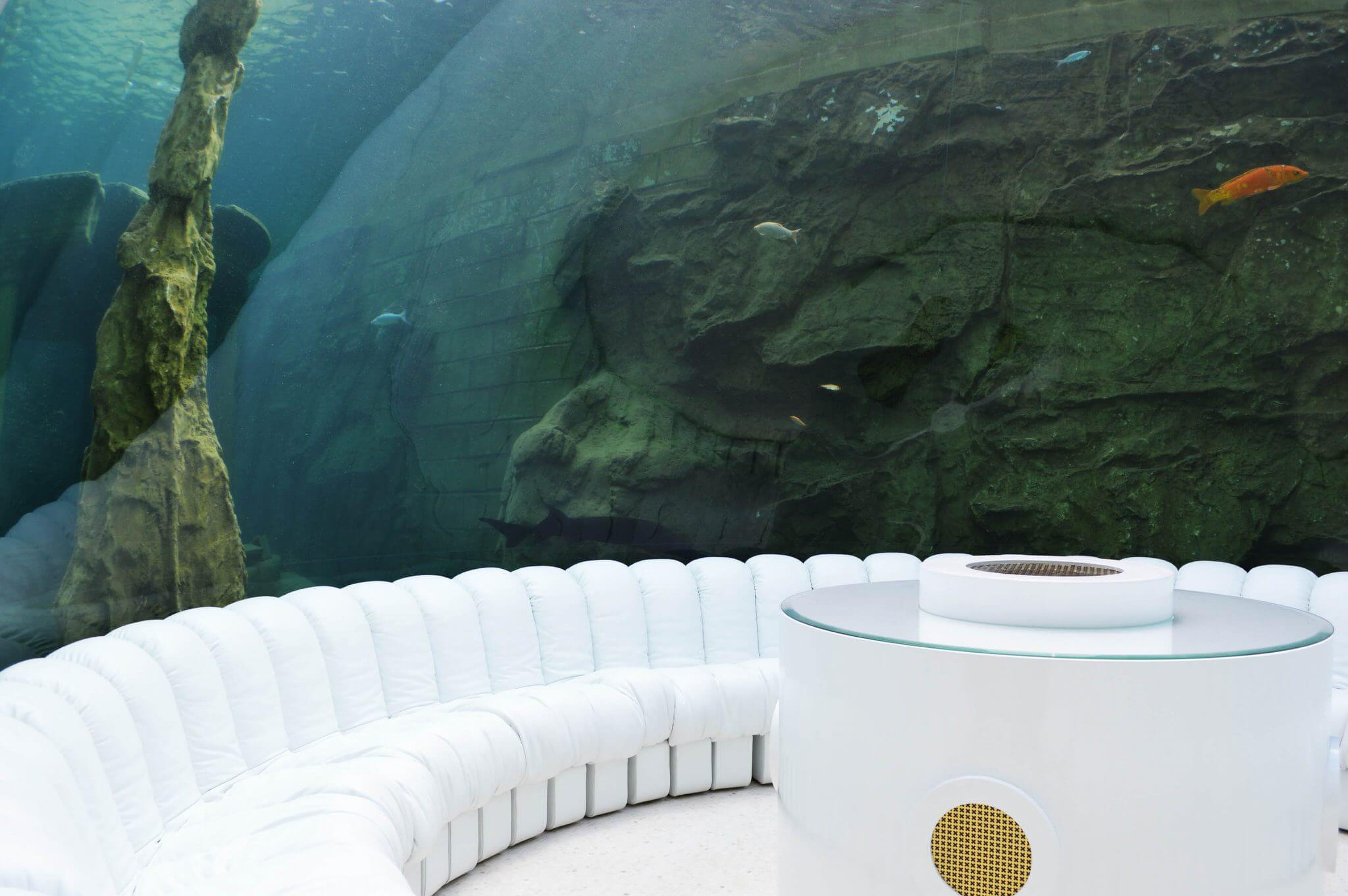 De zitkamer in het aquarium