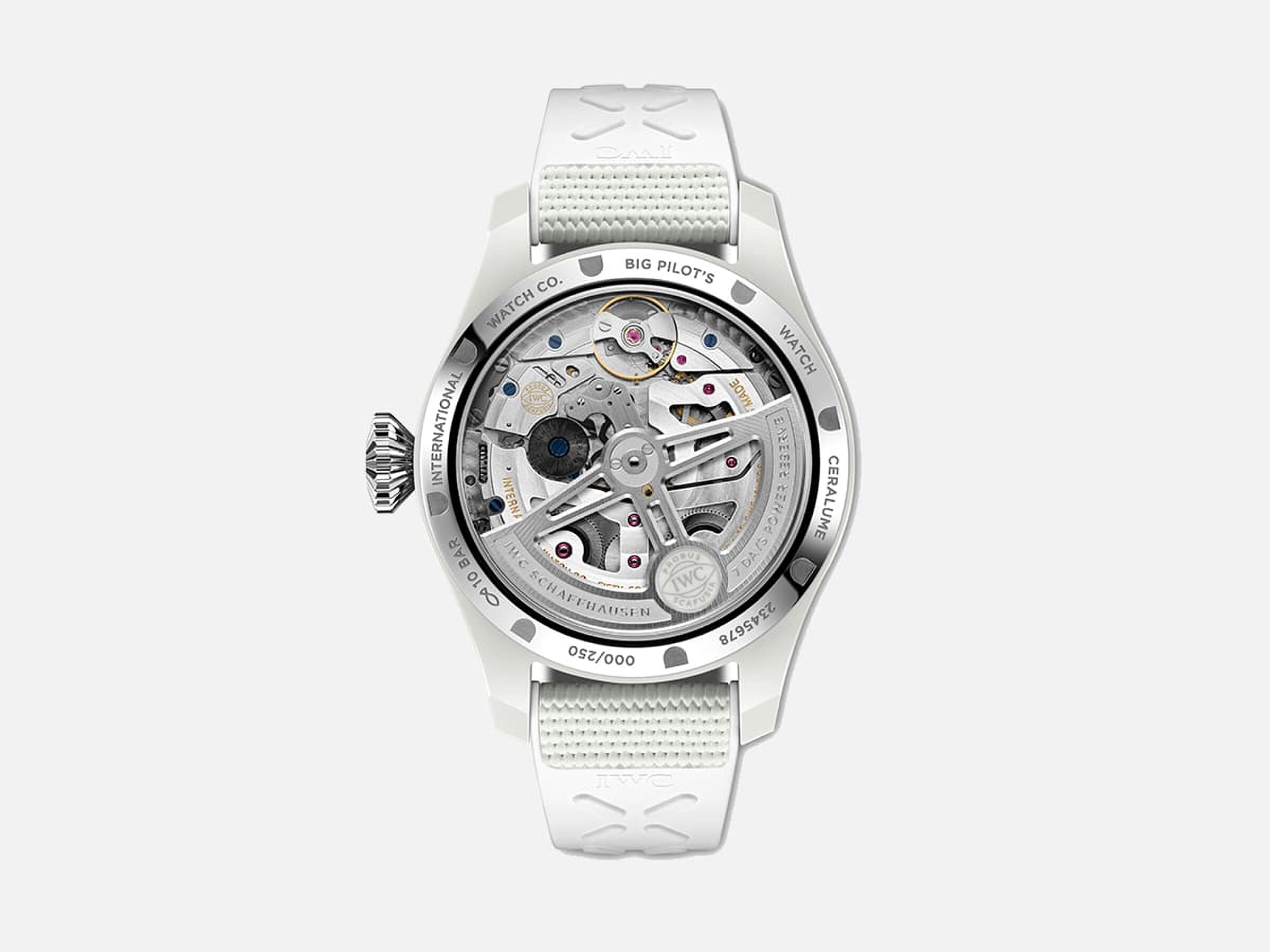 Het IWC-horloge in het licht