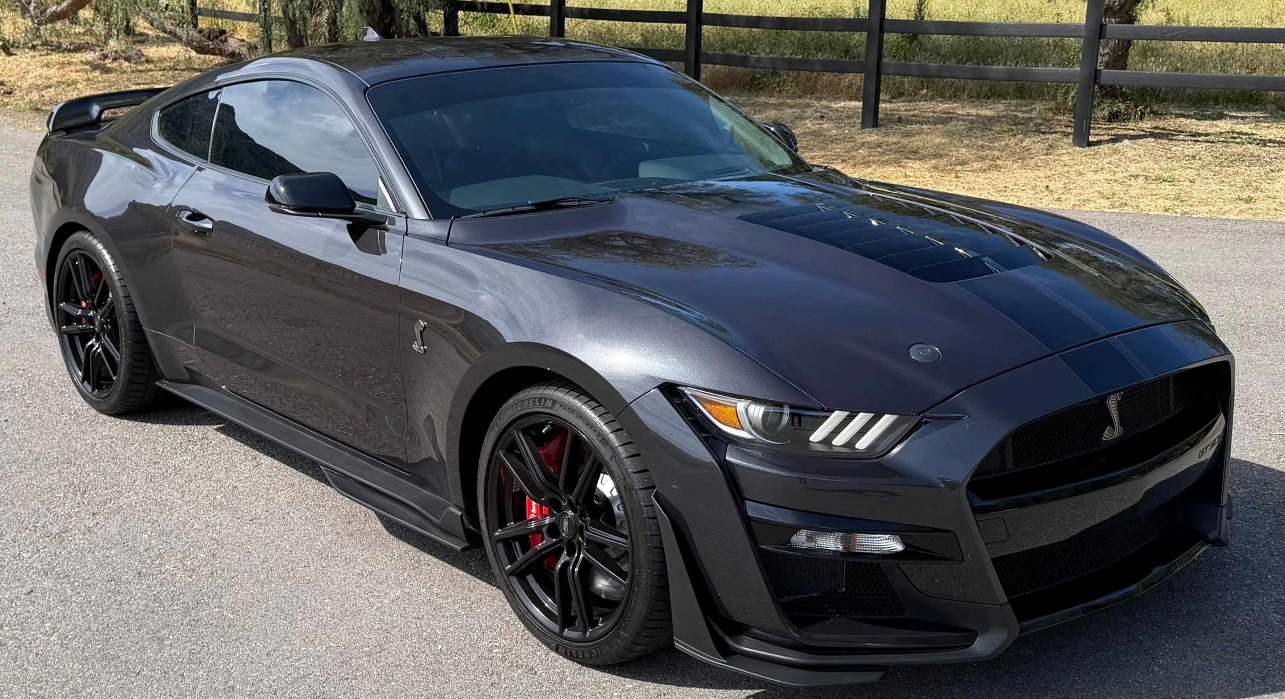 De buitenzijde van de bijzondere Ford Mustang Shelby