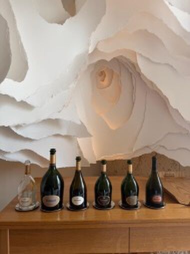 Het champagnehuis Ruinart in Reims
