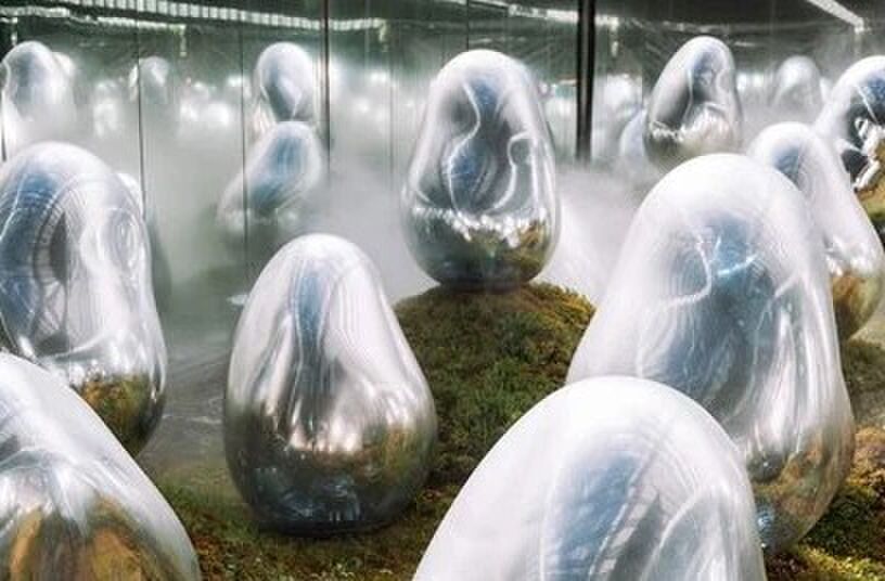 De Teamlab Planets in Tokio