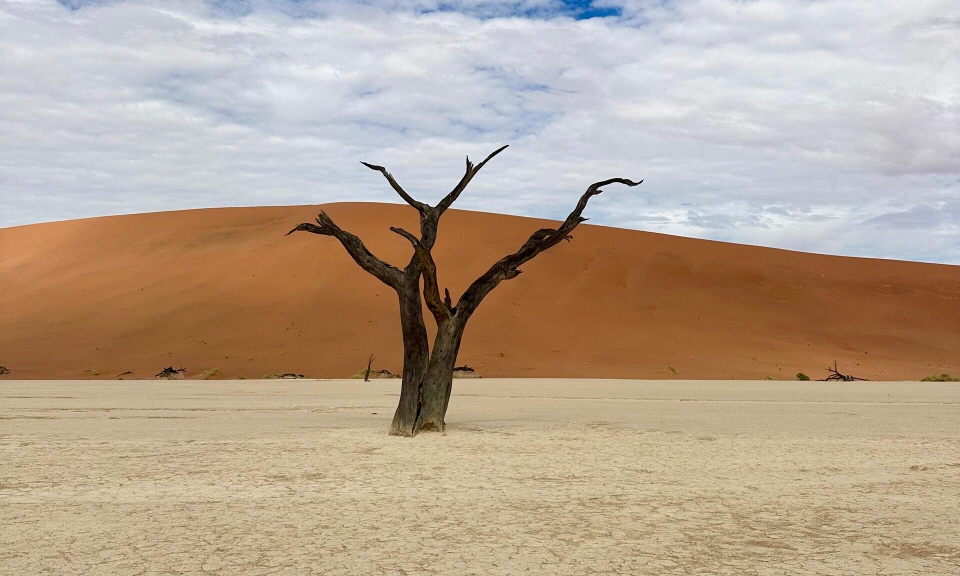 De woestijn in Namibië