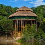 de juma Amazon lodge is de perfecte plek in Zuid-Amerika Pure Luxe