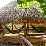 de juma Amazon lodge is de perfecte plek in Zuid-Amerika Pure Luxe