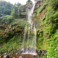 S&atilde;o Miguel