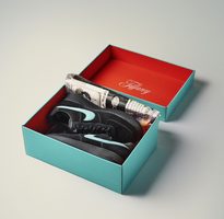 Tiffany & Co. x Nike-02