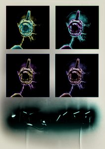 state of mind expositie mike van veen miriam kruishoop GO Gallery Amsterdam Pure Luxe
