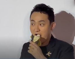 de banaan werd opgegeten