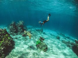 Snorkelen