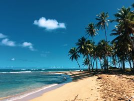 All-inclusive reizen