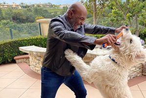 Mike Tyson vermogen bokser Pure Luxe