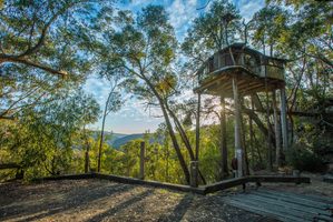 Boomhut Australi&euml;