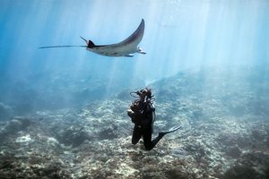 navy seal for a day adventure trident adventures Pure Luxe