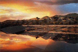 Amtrak trein reizen Pure Luxe